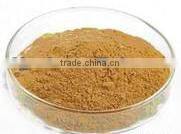 Direct manufacturer Slimming Pure Garcinia Cambogia Fruit Extract with HCA 60%