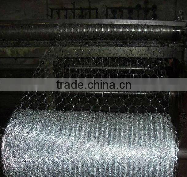 Anping factory hexagonal mesh sheet