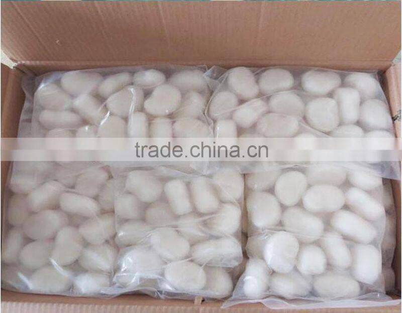 our best selling marine food frozen comb pen shell