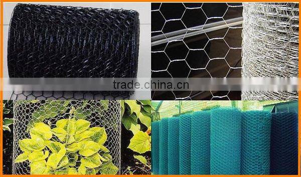 Cheap galvanized and PVC coated welded metal building wire mesh 19 gauge galvanized welded wire mesh