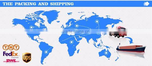 2016 China Youjie Adjustable Magnetic Back Posture Support Corrector Bands