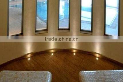 leds lighting durable IP67 inground underground LED garden uplighters