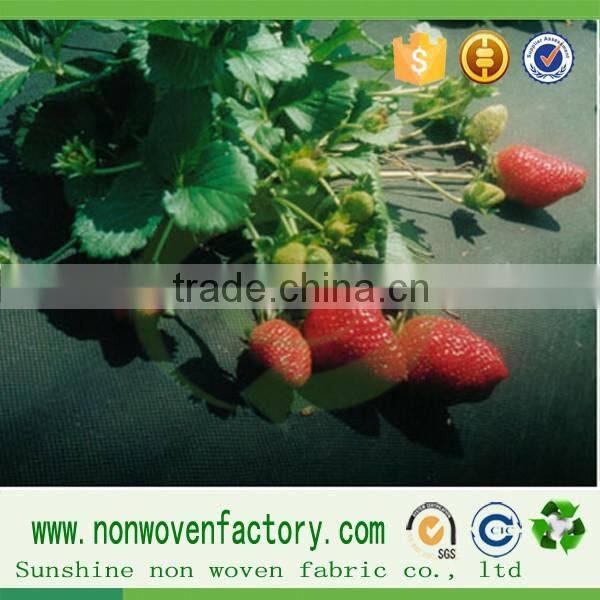 Polypropylene pp non woven anti weed fabric uv resistant nonwoven