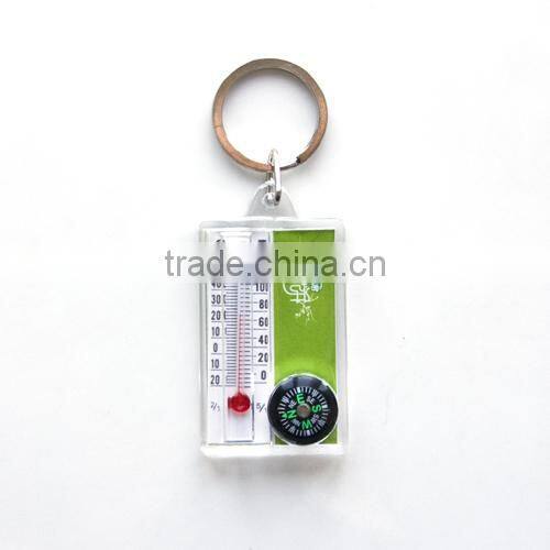 Customized plastic key chain with metal keyring