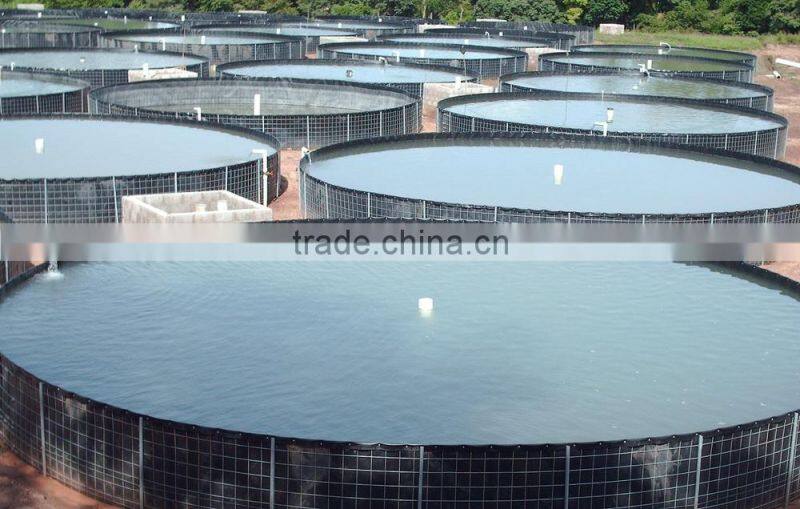 shrimp and fish pond mulching film HDPE Liner / Pond Liner for preventing virus