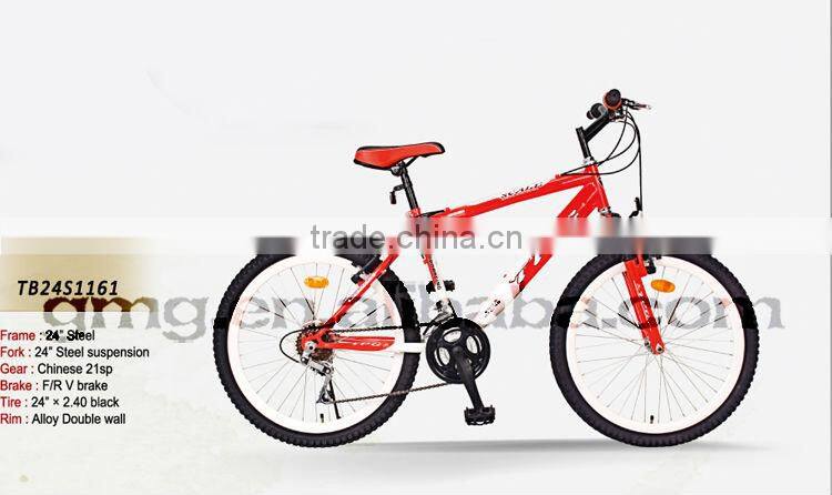 MTB Bikes Series TB24S1161(GMG)
