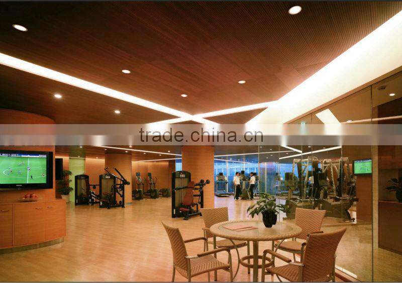 LED cob ceiling light