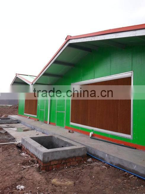 automatic rabbit equipment