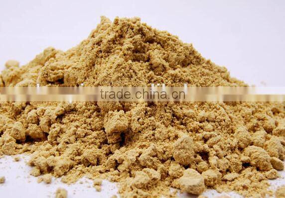 Guangxi Ginger Extract Powder