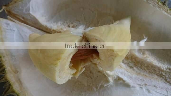 VIET NAM DURIAN- monthong durian