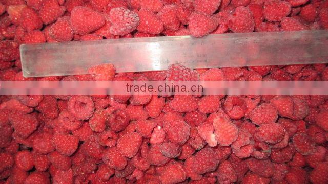 Frozen Berry Fruits/Frozen Raspberry