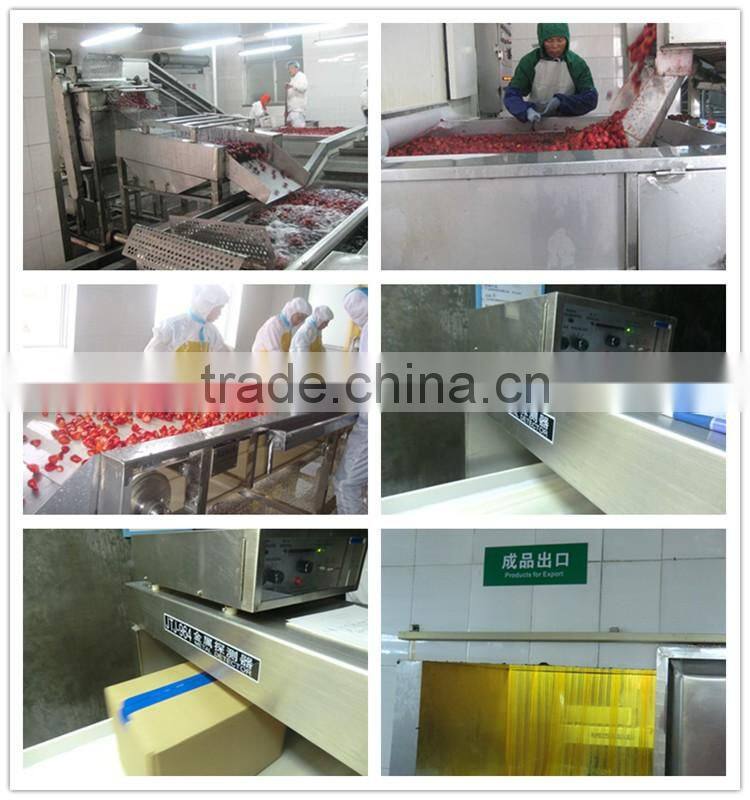 IQF Frozen apricot dices best price good quality