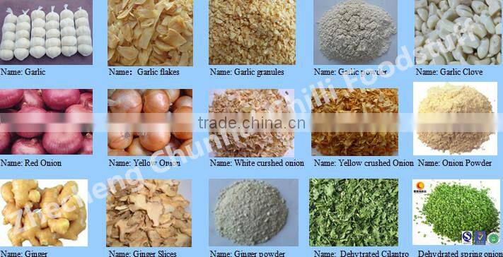 Well-chosen top quality dehydrated pure white garlic in carton