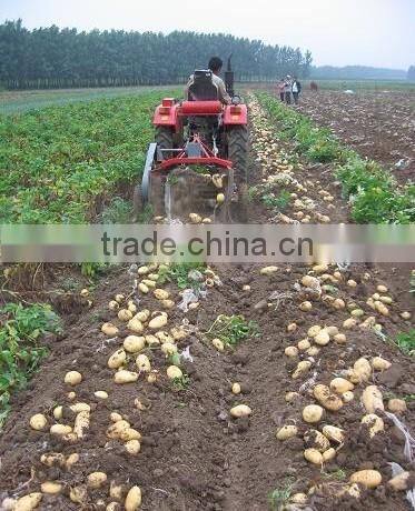 1 row and 2 row mini tractor potato