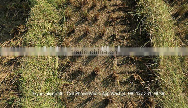 Whirlston harvesting in Indonesia high quality low price of middle rice paddy harvester