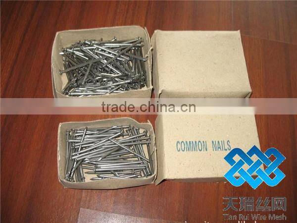 common nail/polished nail/galvanized nail