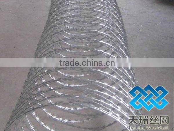 Galvanized Barbed Wire with 4 Points / razor barbed wire