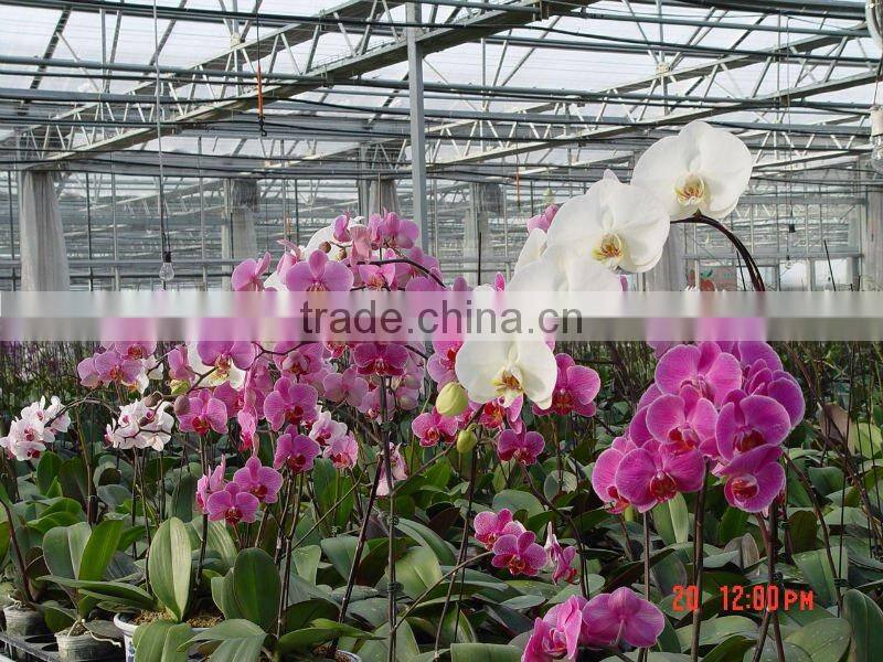 Flower And Vegetable Growing Greenhouse