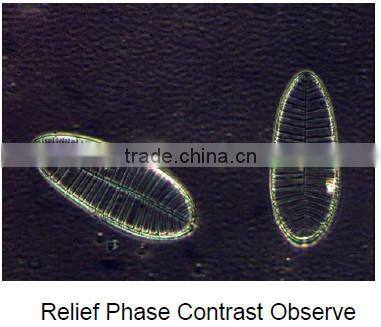 cheap electron microscope binocular / trinocular