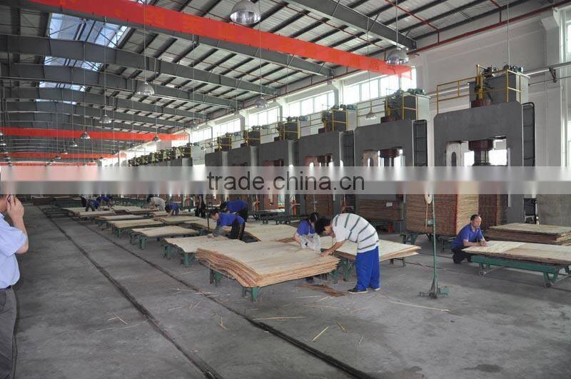 Standard/High quality Plywood production line