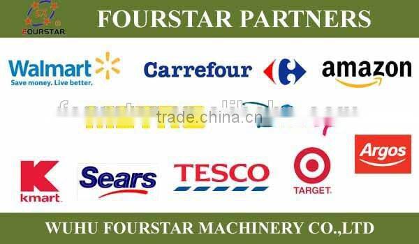 2015 Hot Sale 120W Fashionable FSD250DH-2 Electric Scooter for great fun