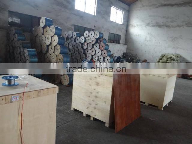 Trade assurance 6mm stainless steel wire rope