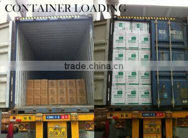 DC 90W solar water pump for watering your vegetable field,portable and convenient,without guard