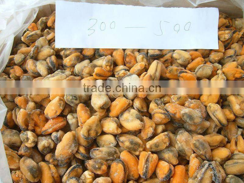 frozen cooked mussel meat