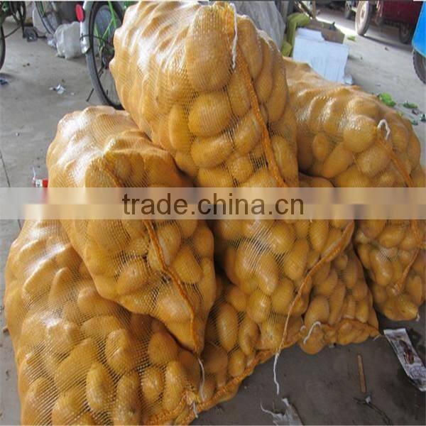 PE leno mesh bag for vegetable