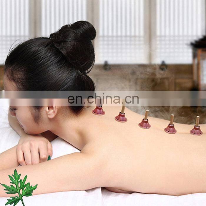 Fusion moxibustion oMoxa meridian acupuncture moxibustion moxa stick moxibustion body micro-smoke tube