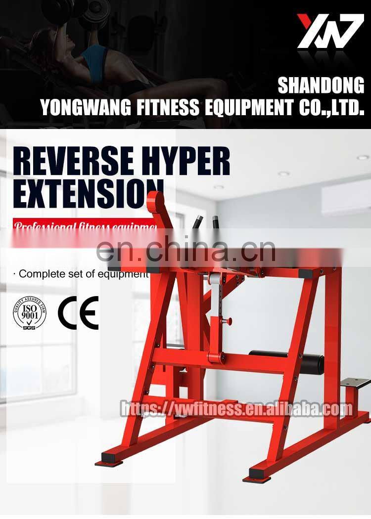 High quality professional bodybuilding equipment YW-1628 reverse hyper extension