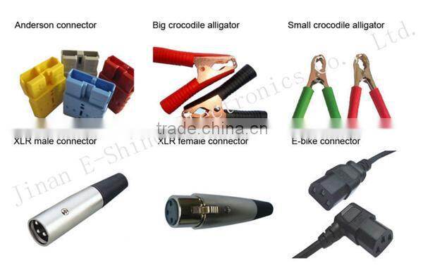 12v 220v Unicycle Battery Charger