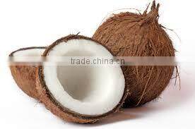 Fresh trimmed/undrimmed coconut