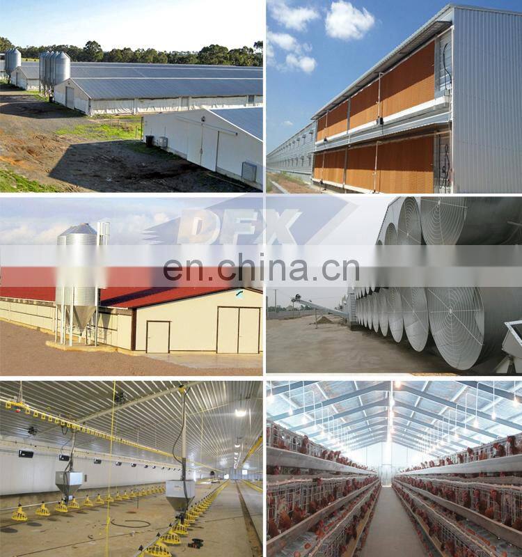 Low Cost Steel Chicken House Construction Poultry Shed Building In Pakistan