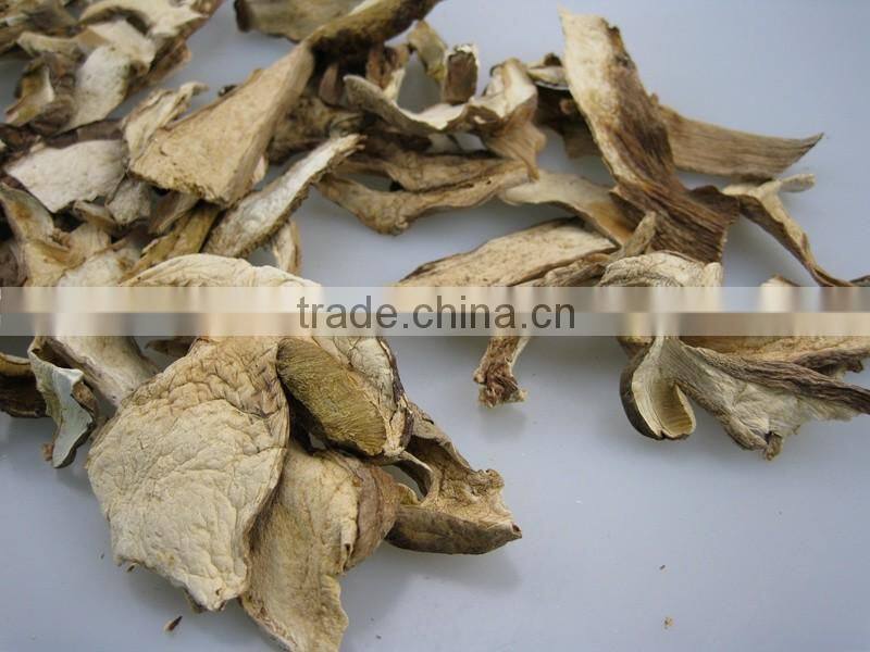 High quality boletus magic dried mushroom slices from yunnan