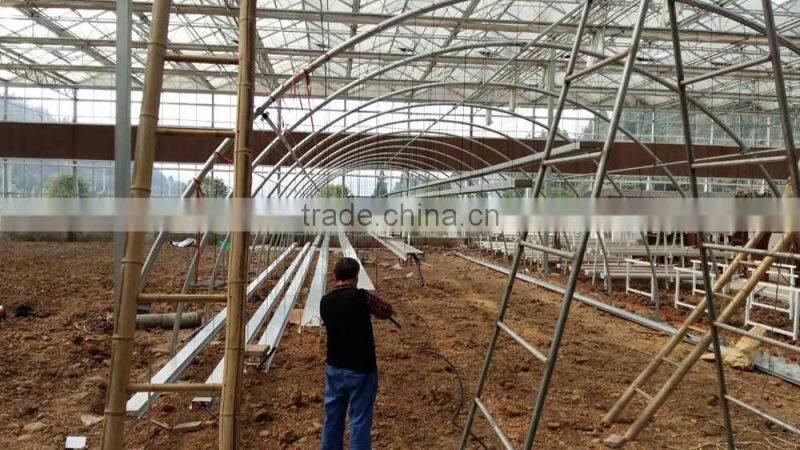 Tunnel Greenhouse for Agriculture