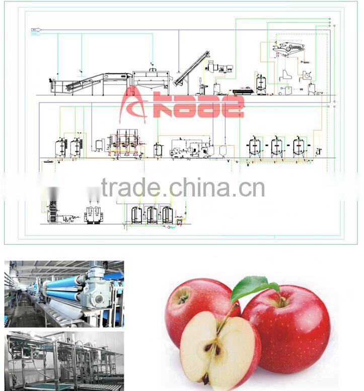 Turnkey project of apple juice plant
