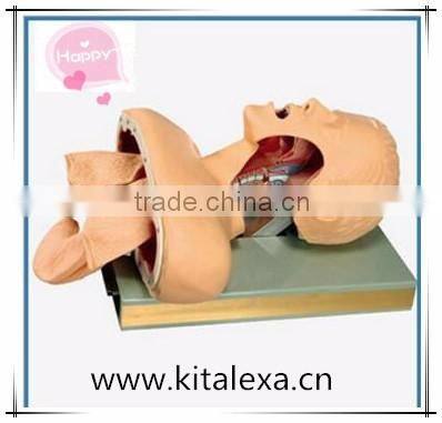 High selling supply of advanced human tracheal intubation training model