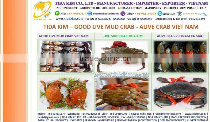 TIDA KIM ITOYORI SURIMI FROZEN BIG EYE SNAPPER ESO SEABREAM MIX GS 500 700 900 LOBSTER SHRIMP CRAB KINTOKIDAI GUCHI KOCHI RIBBON