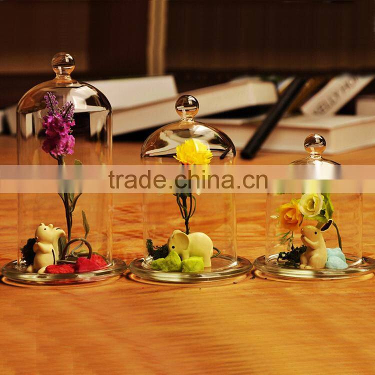 high-grade transparent glass dome