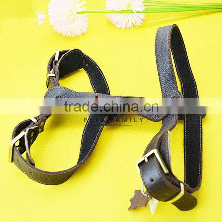 Designer classical dog body harness