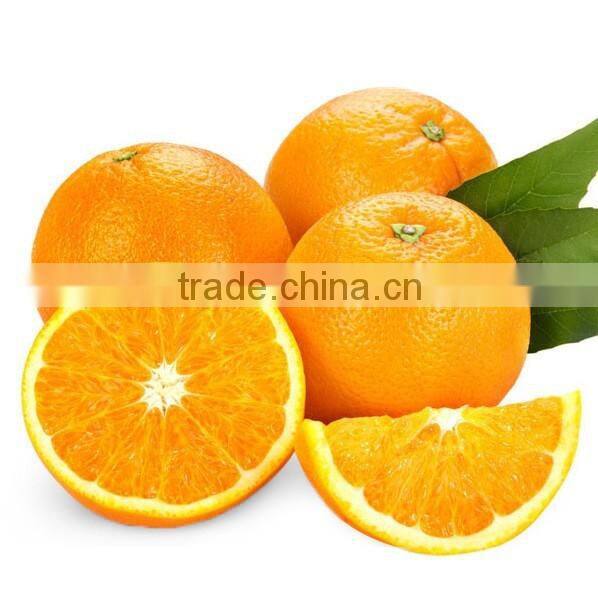 Factory Supply blood orange