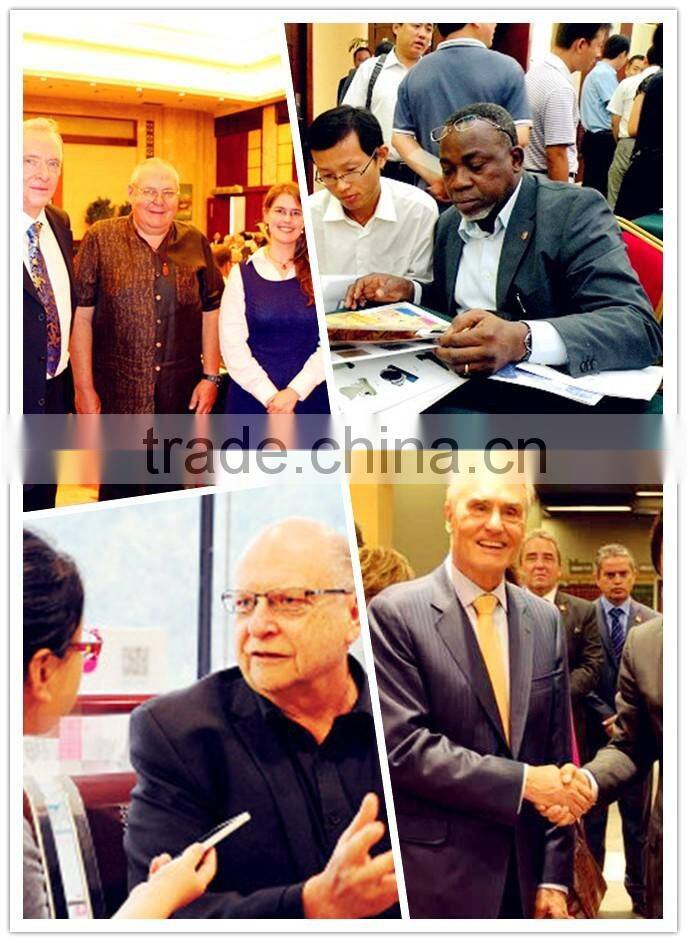 OEM Forged Carbon Steel WN Flange