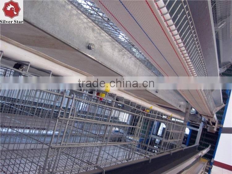 automatic belts manure removal/cleaning system chicken layer cage