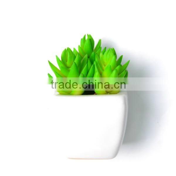 Artificial Aloe Succulents in white ceramic Planter