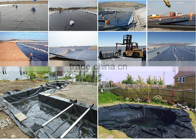 Impermeable Geomembrane Liner Fish Pond Liner