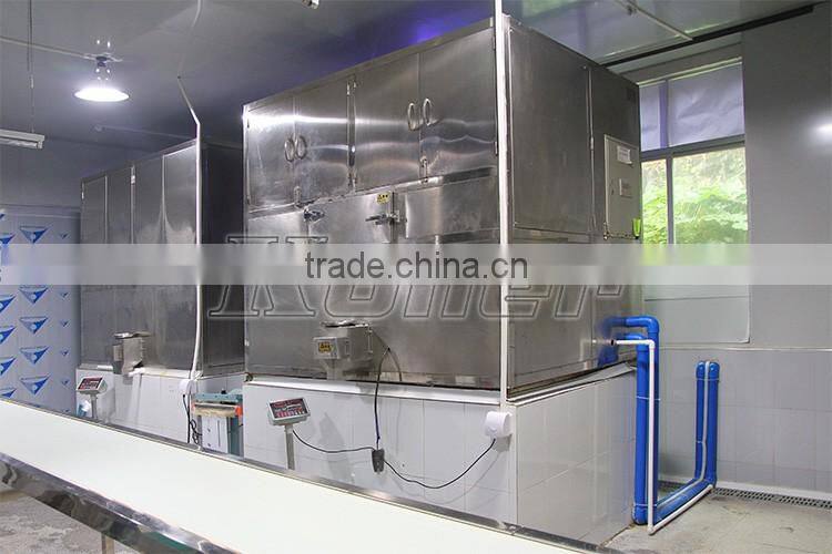 3 Tons Cube Ice Making Machine with Packing System