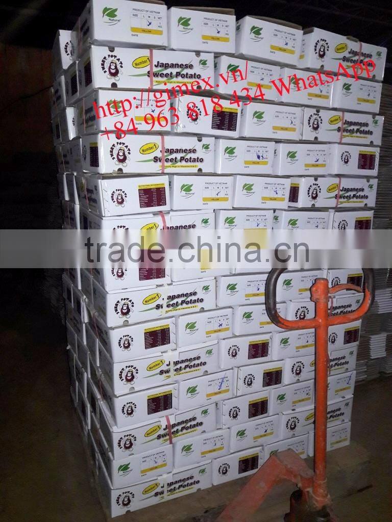 JAPAN YELLOW SWEET POTATO