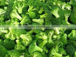 Frozen Vegetables ( Beans - Peas - Carrots - Broccoli- Okra - Molokhia - Spanich -French fries )