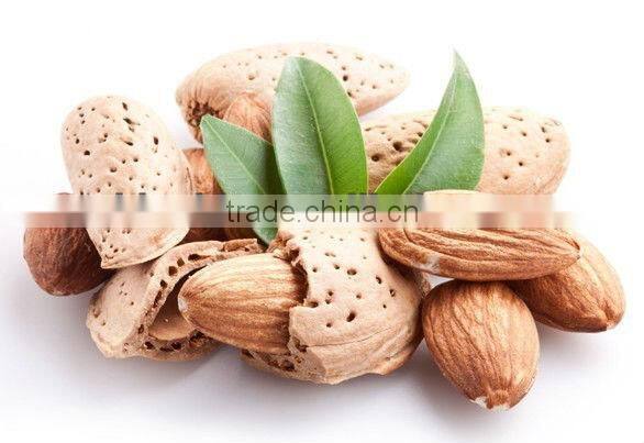 GMP Factory Supply Top Quality 50%, 98%, 99% Amygdalin